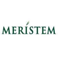 Meristem logo